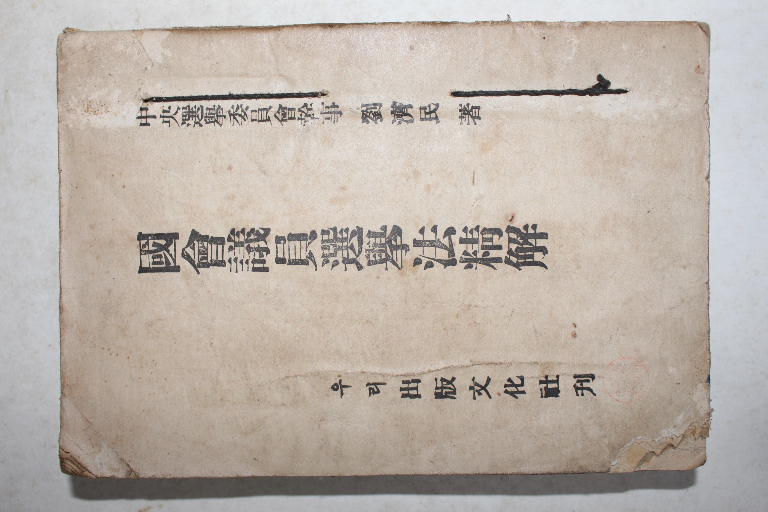 1954년 국회의원선거법정해