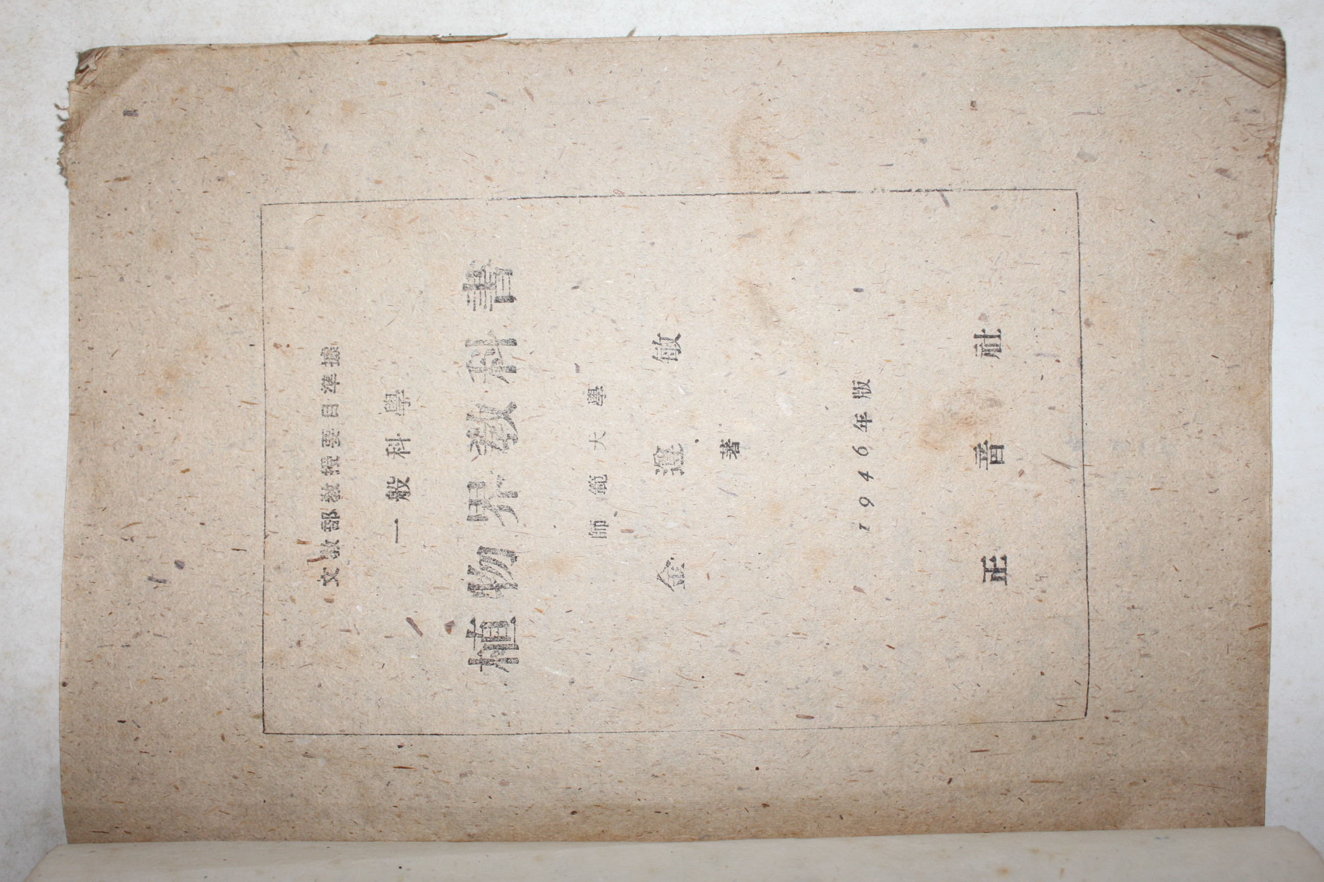 1946년 김준민(金遵敏) 중등식물 (一般科學)植物界敎科書