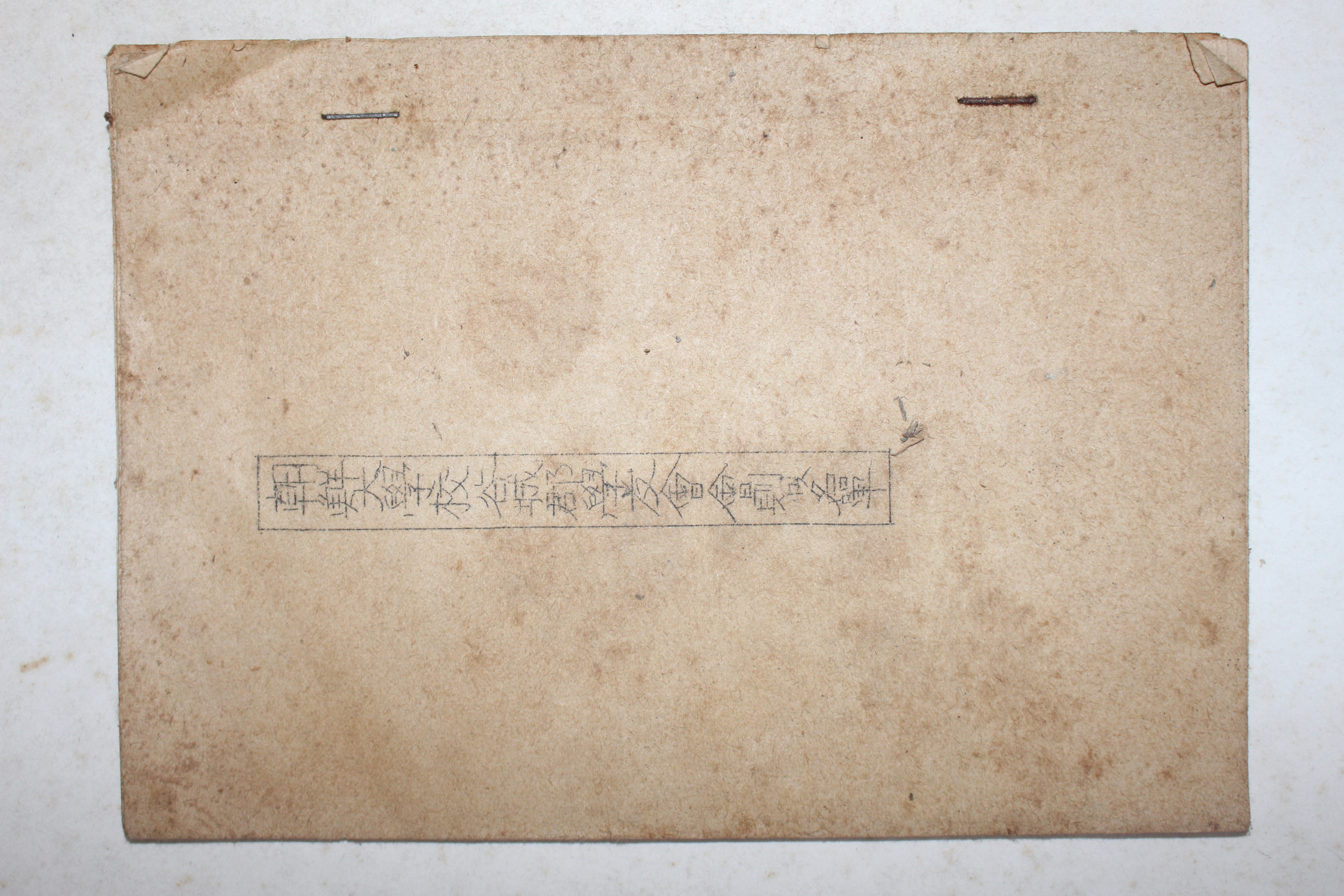 1955년 조선대학교 곡성군 학우회회칙 명부