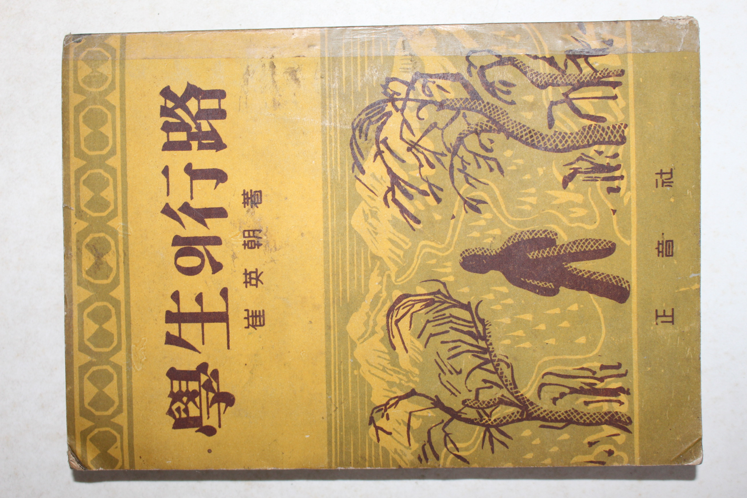 1954년초판 최영조(崔英朝) 학생의 행로